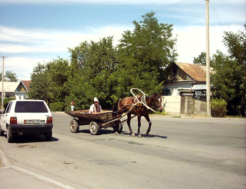 Pferdewagen in Kara-Balta