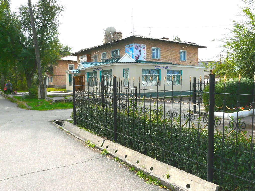 г.Кара-Балта. 2009.