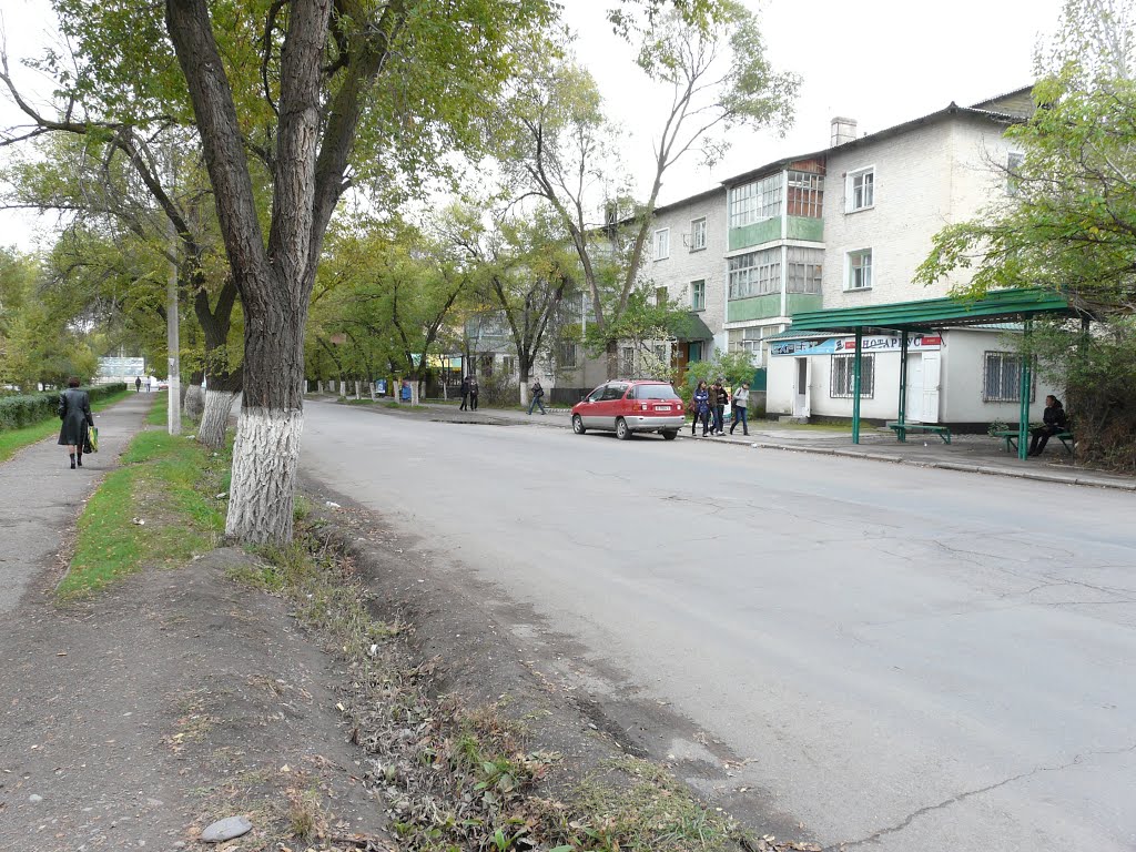 2009г.