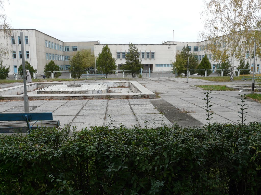 2009г.