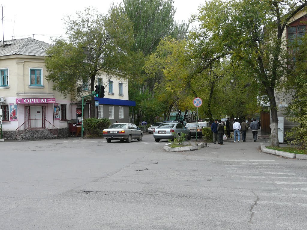 2009г.