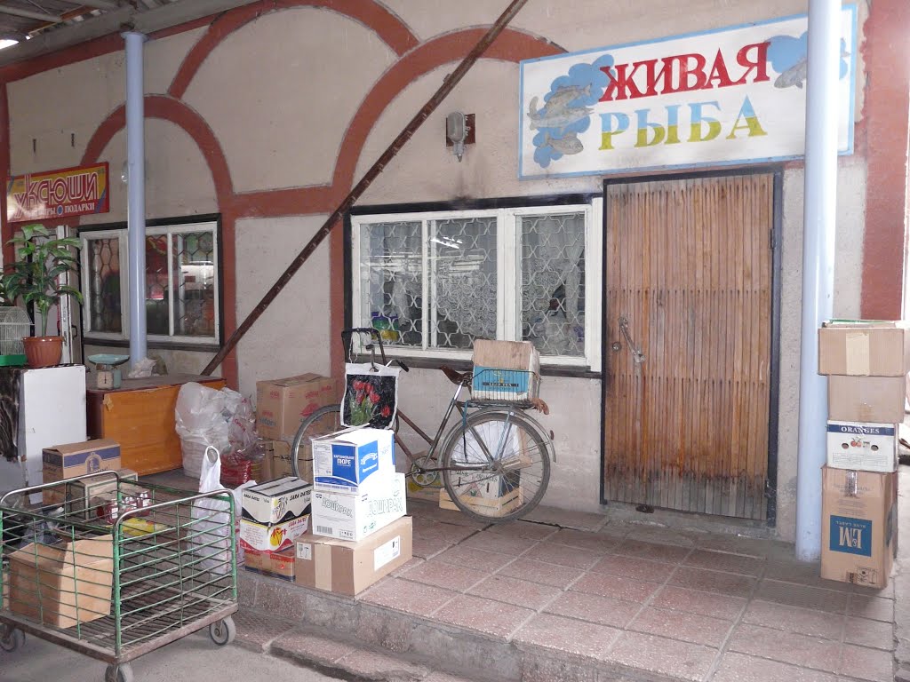 2009г.