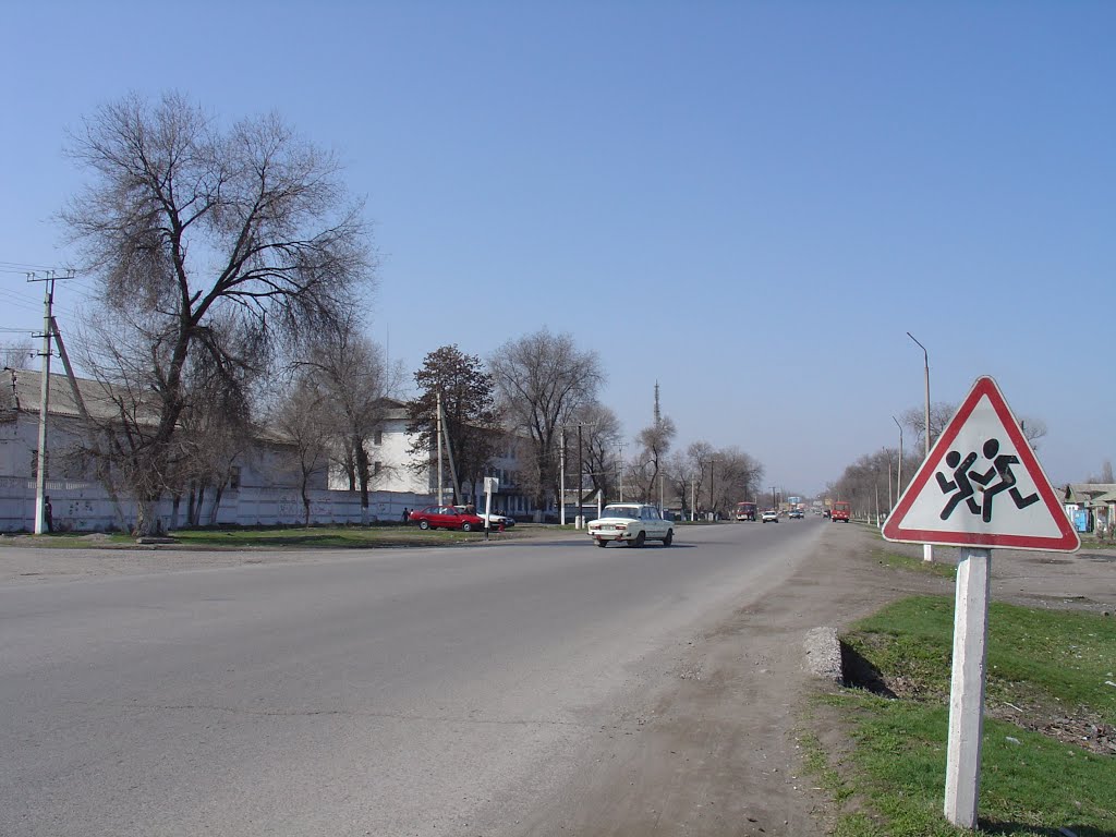 2007г.