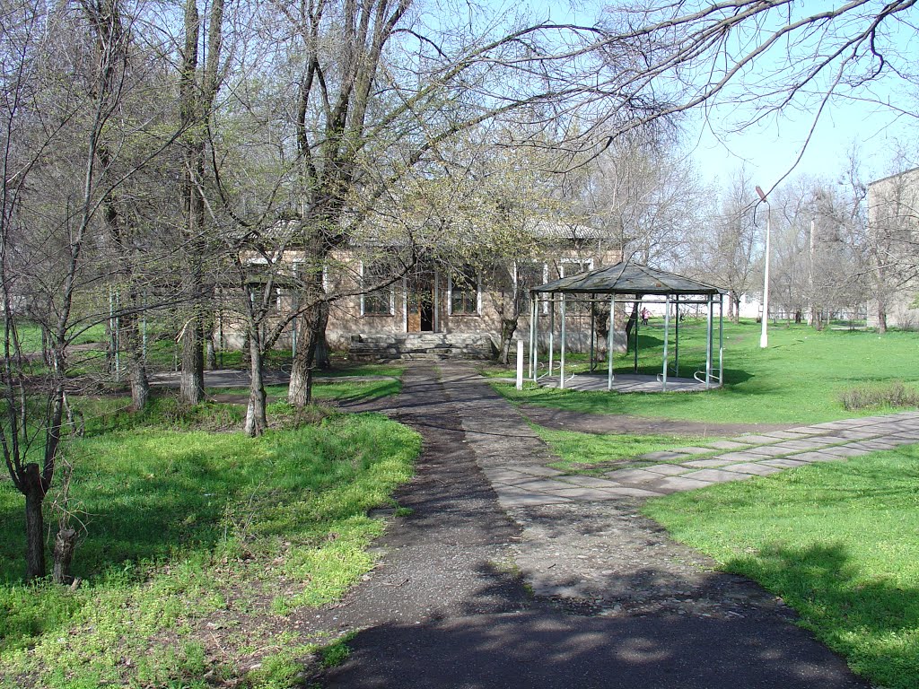 2007г.