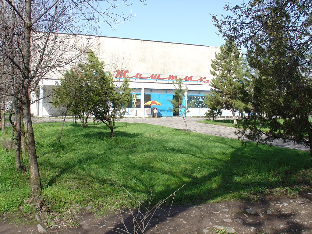 2007г.