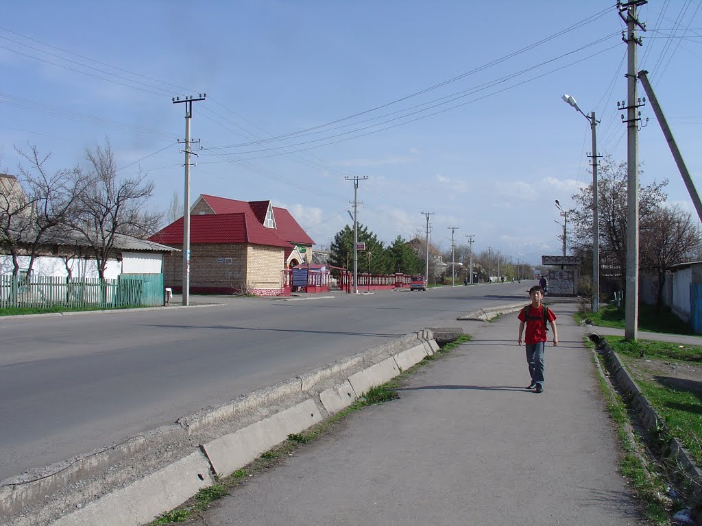 Ул. Труда. 2007г.