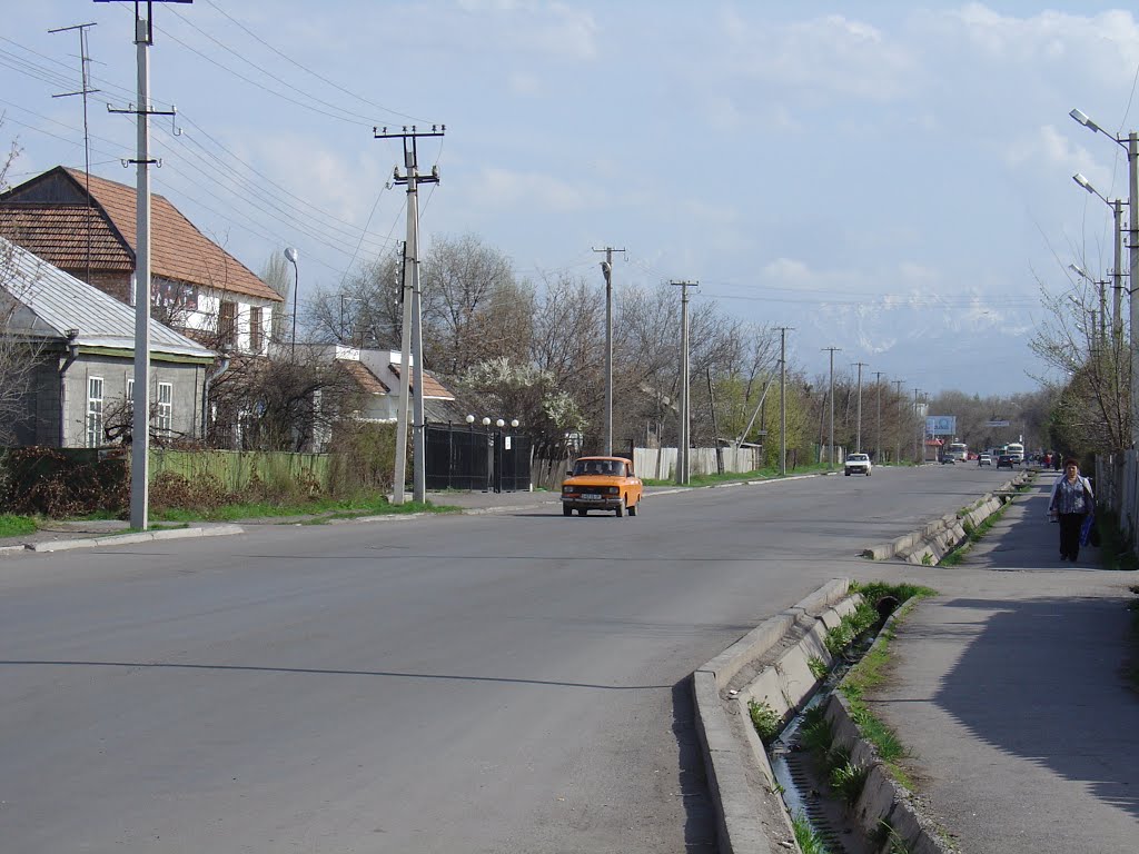 Ул. Труда. 2007г.