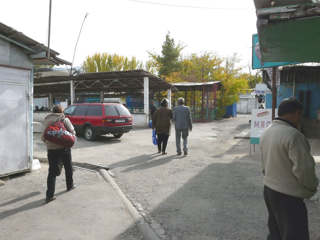 2009г.