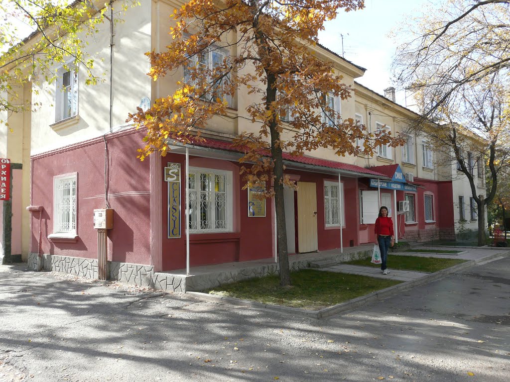 2009г.