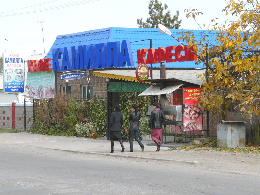 2009г.
