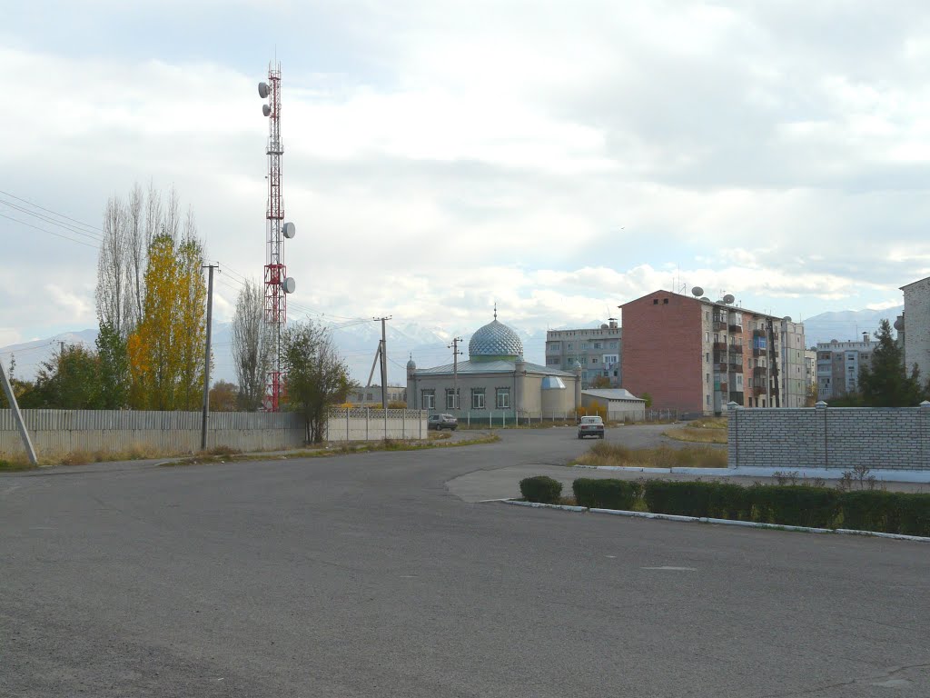 2009г.