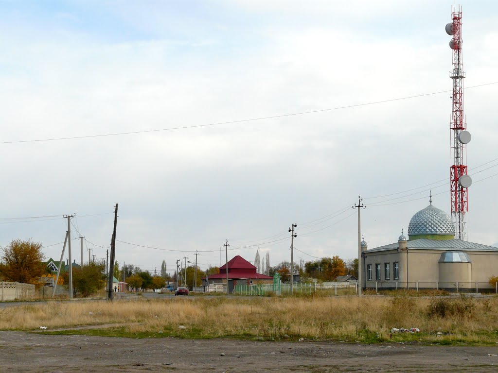 2009г.