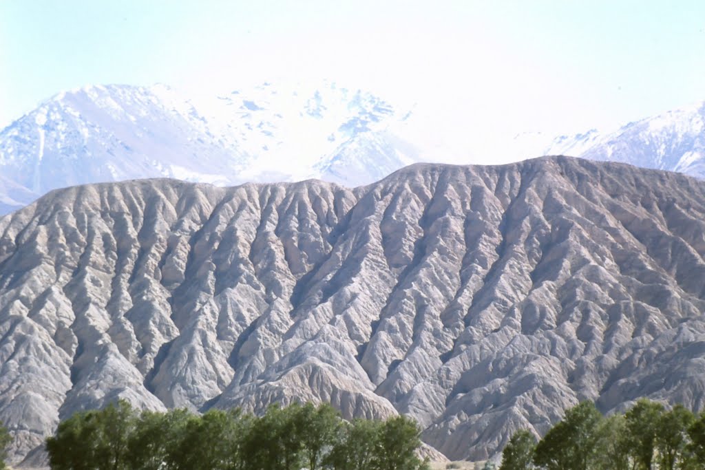 View near Sari Bulak