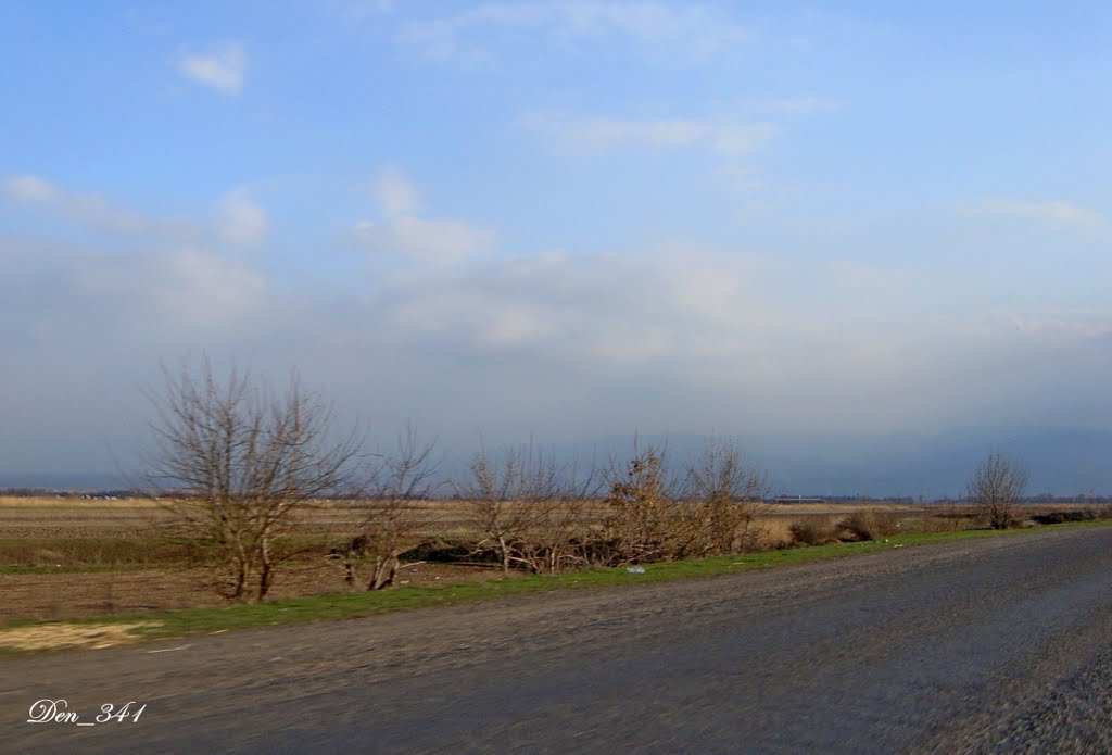 28/03/2011