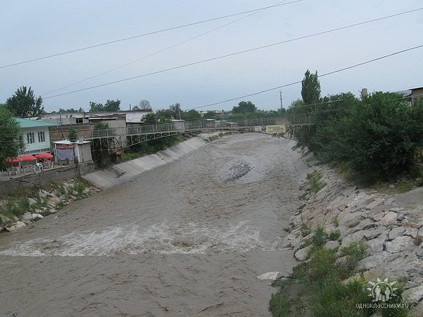 Aravonsoy