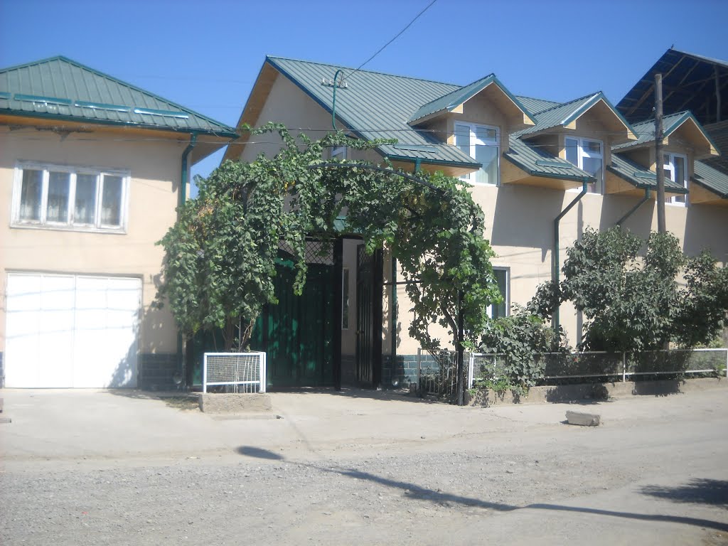 My house