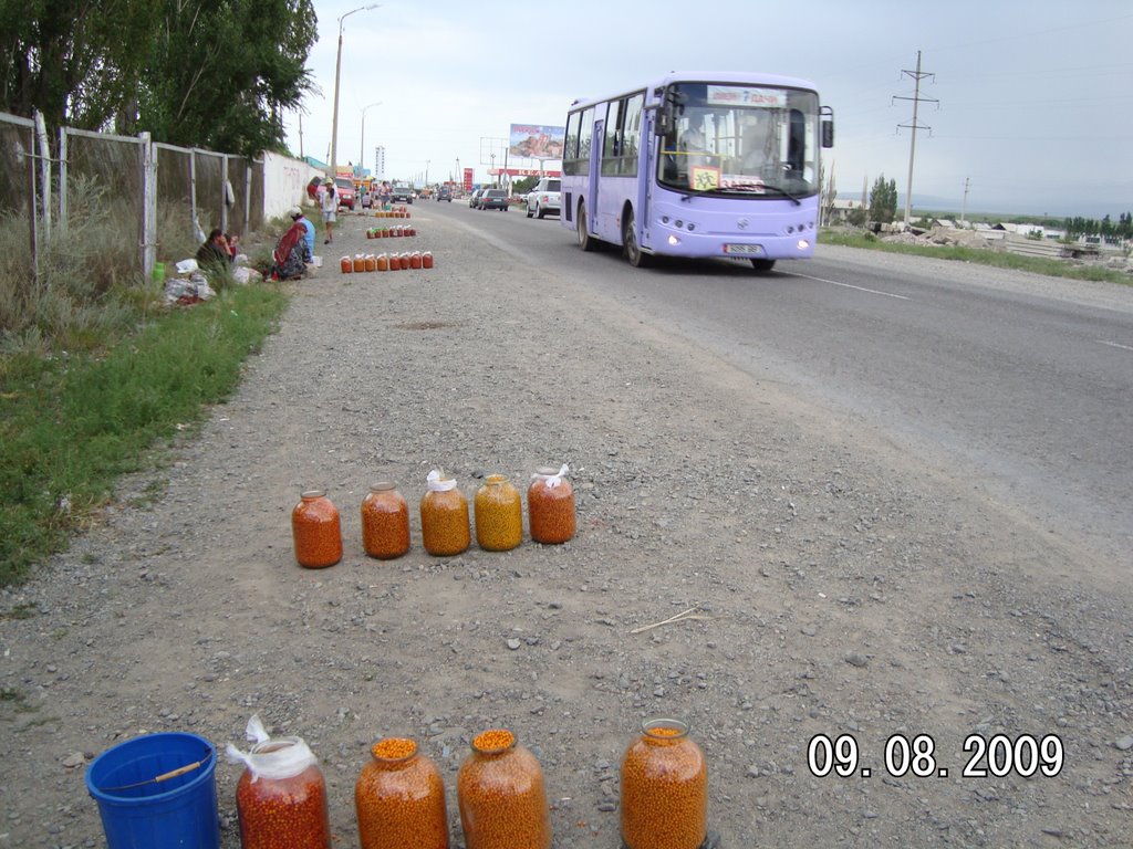 Август 2009 г.