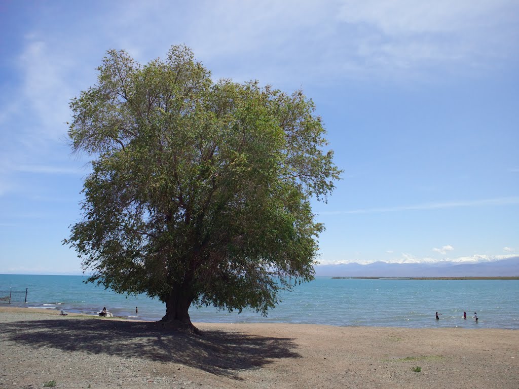 Beach at Balykchy, Lake Issyk-Kul