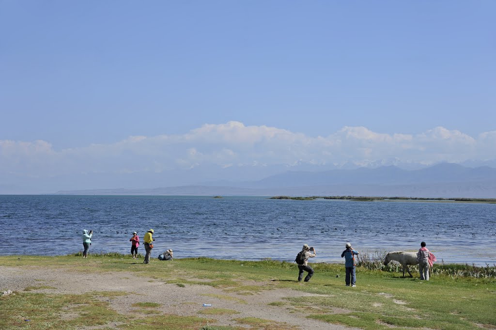 吉尔吉斯伊塞湖畔 Issyk Kul,Rybachye,Kyrgyzstan
