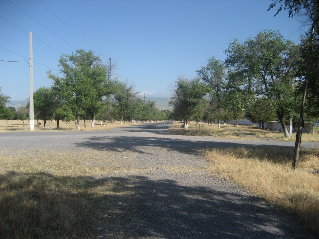 Street