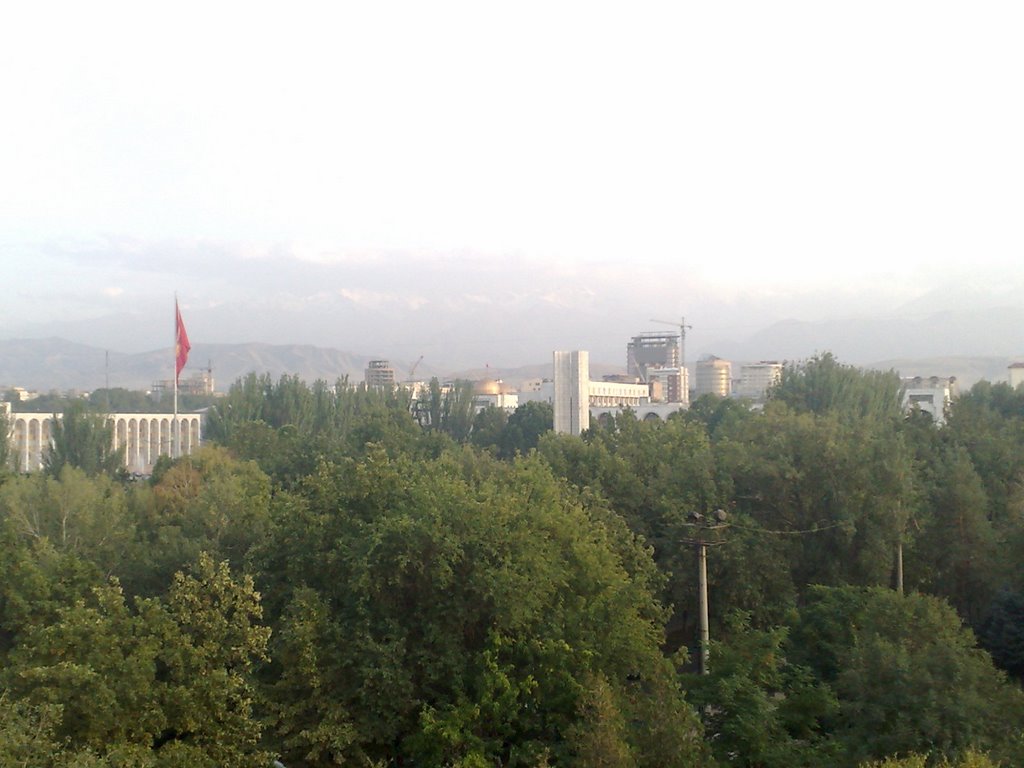 Desde la noria