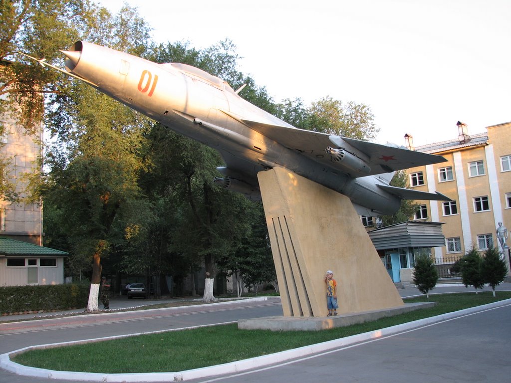 MIG-21 самый красивый истребитель своего времени.