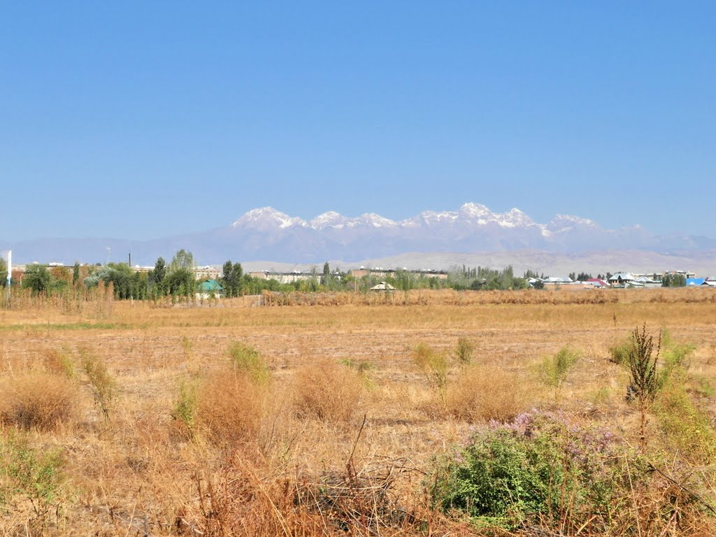 Kyrgyzstan, Jalal-Abad / Кыргызстан, Джалал-Абад, в районе Аэропорта
