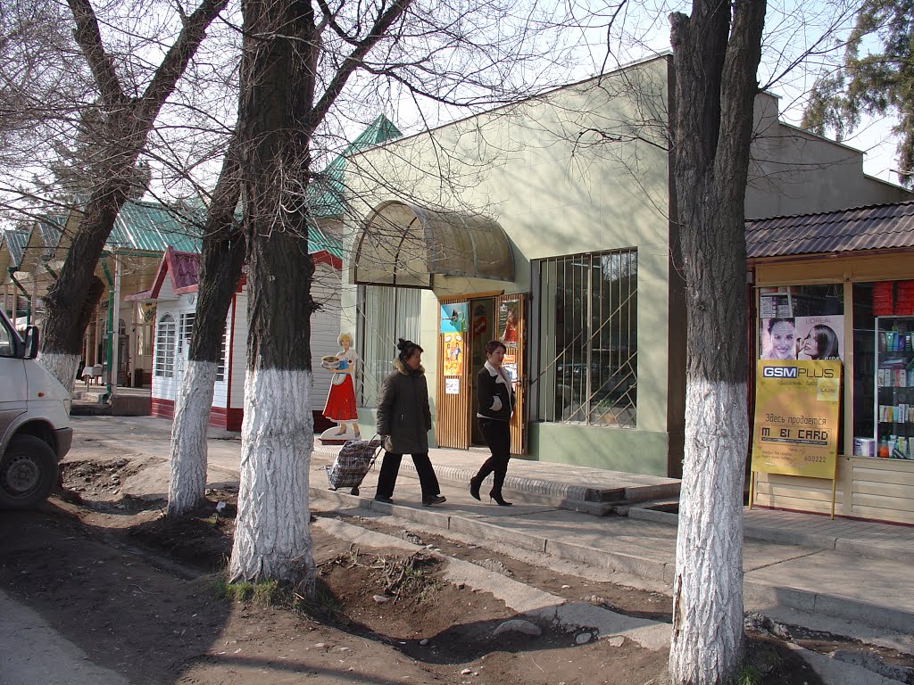 2007г.