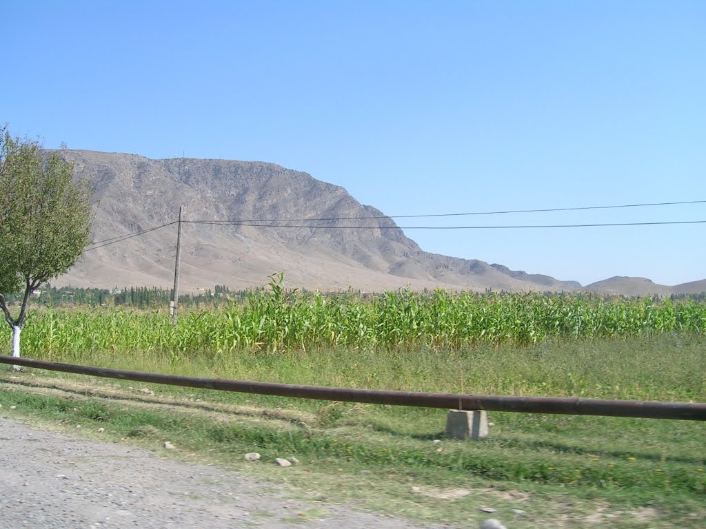 road to nanay