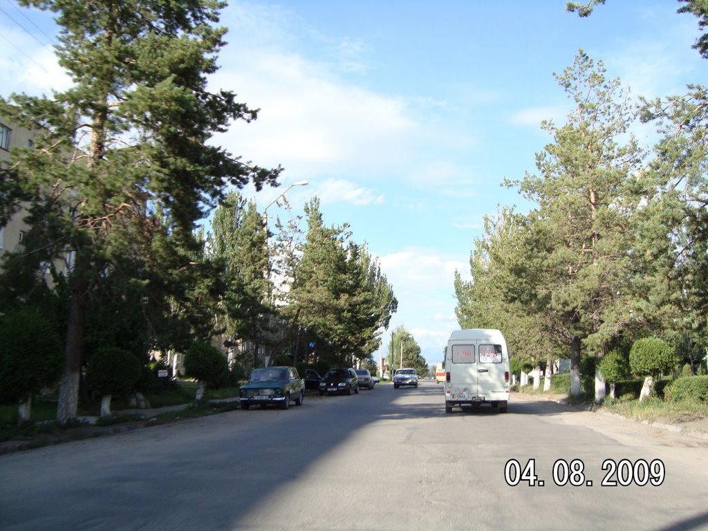 2009год.