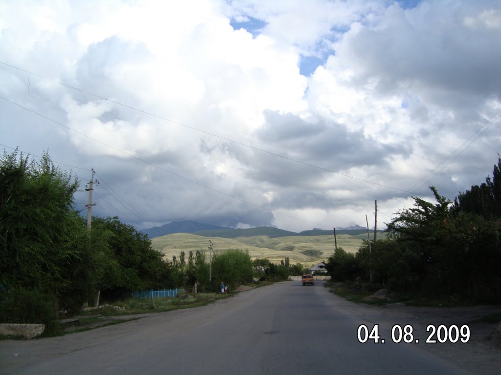 2009год.