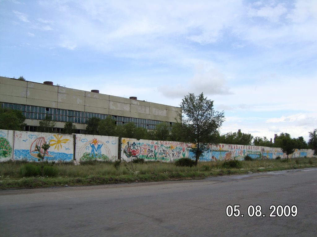 2009г.