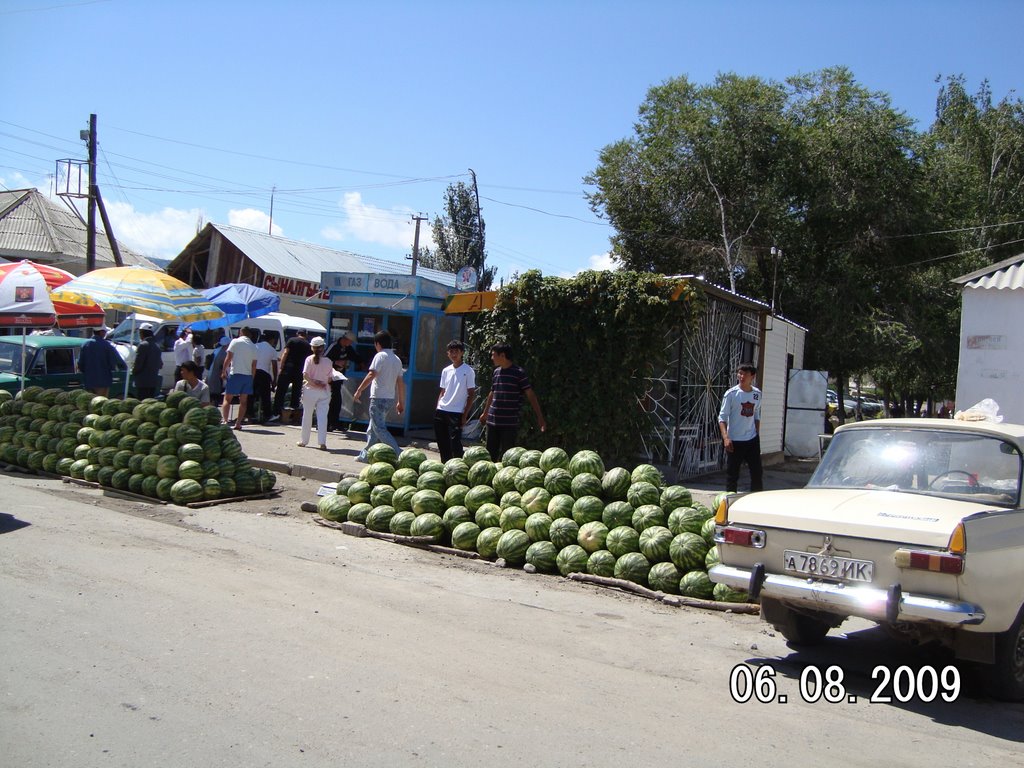 Урожай 2009,