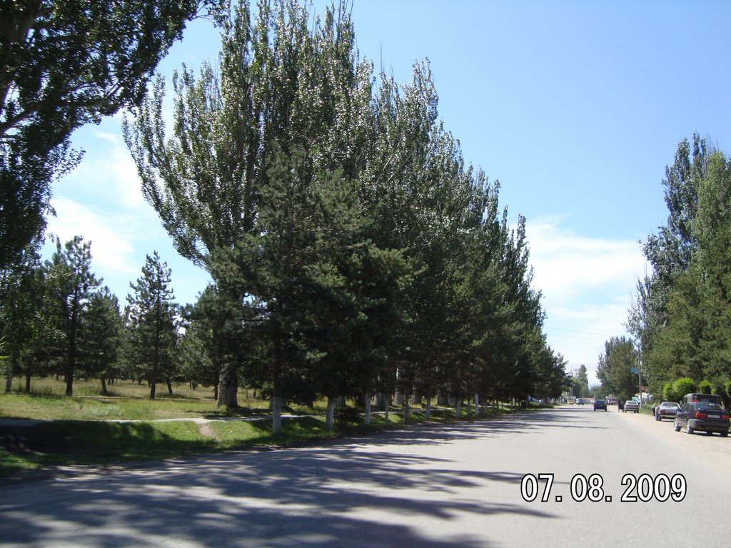 2009 год.