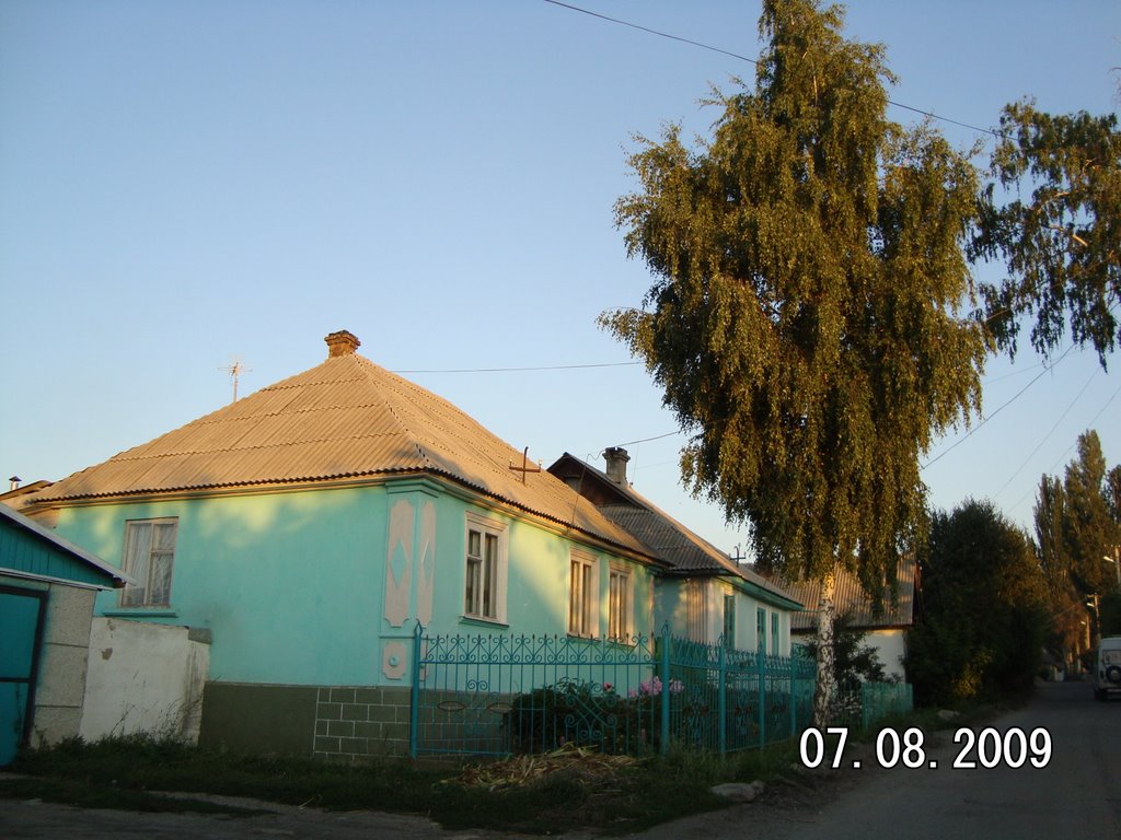 2009 год.