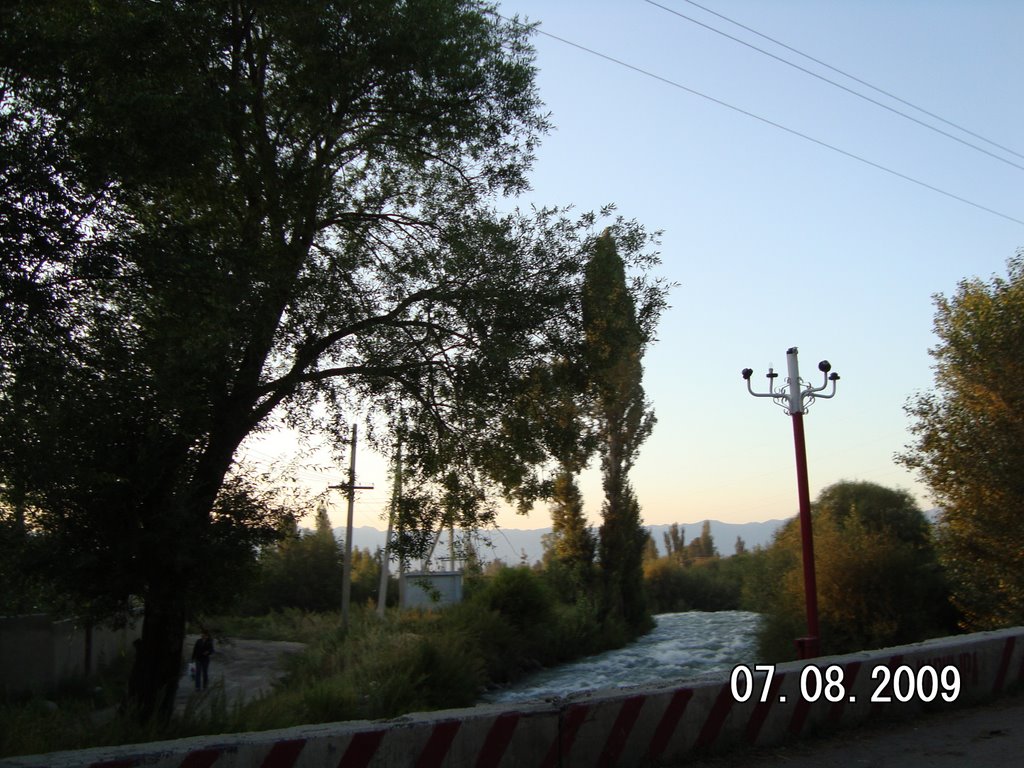 2009 год.