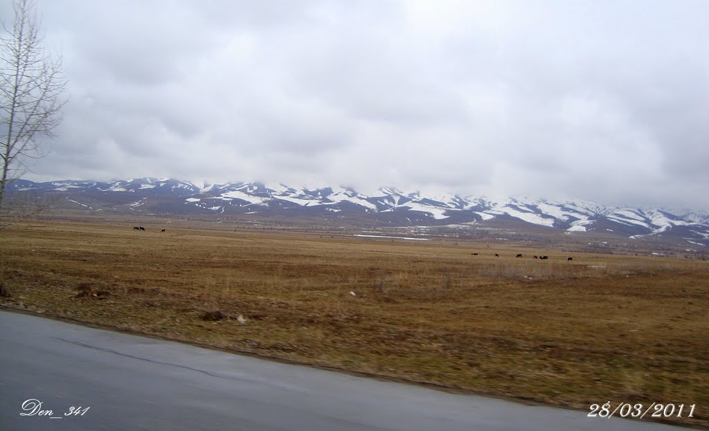 28/03/2011