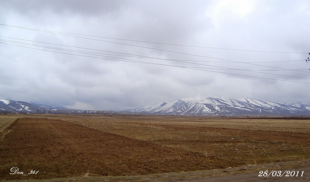 28/03/2011