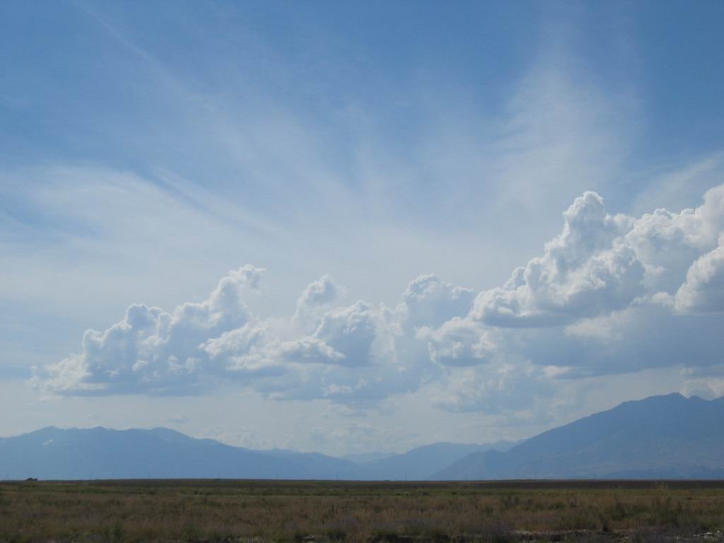Alpine plain