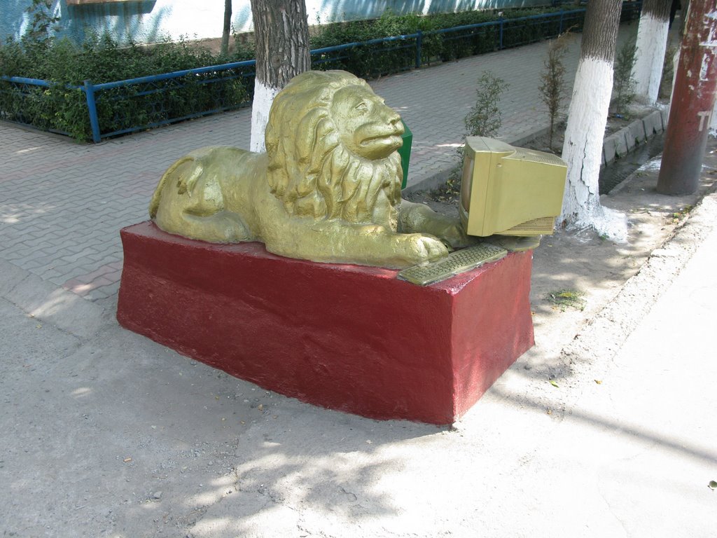 Osh, Lion & Computer