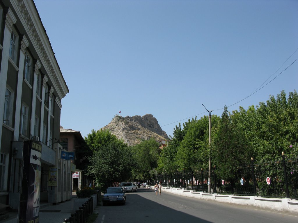 Osh university, left wing