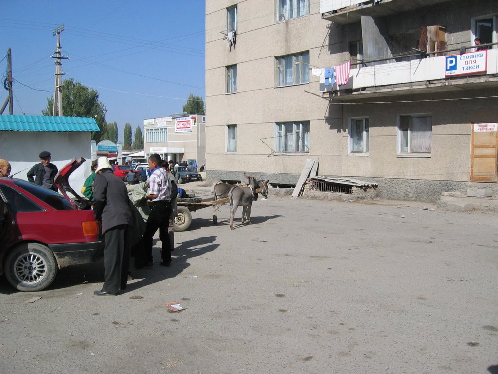 Talas near market