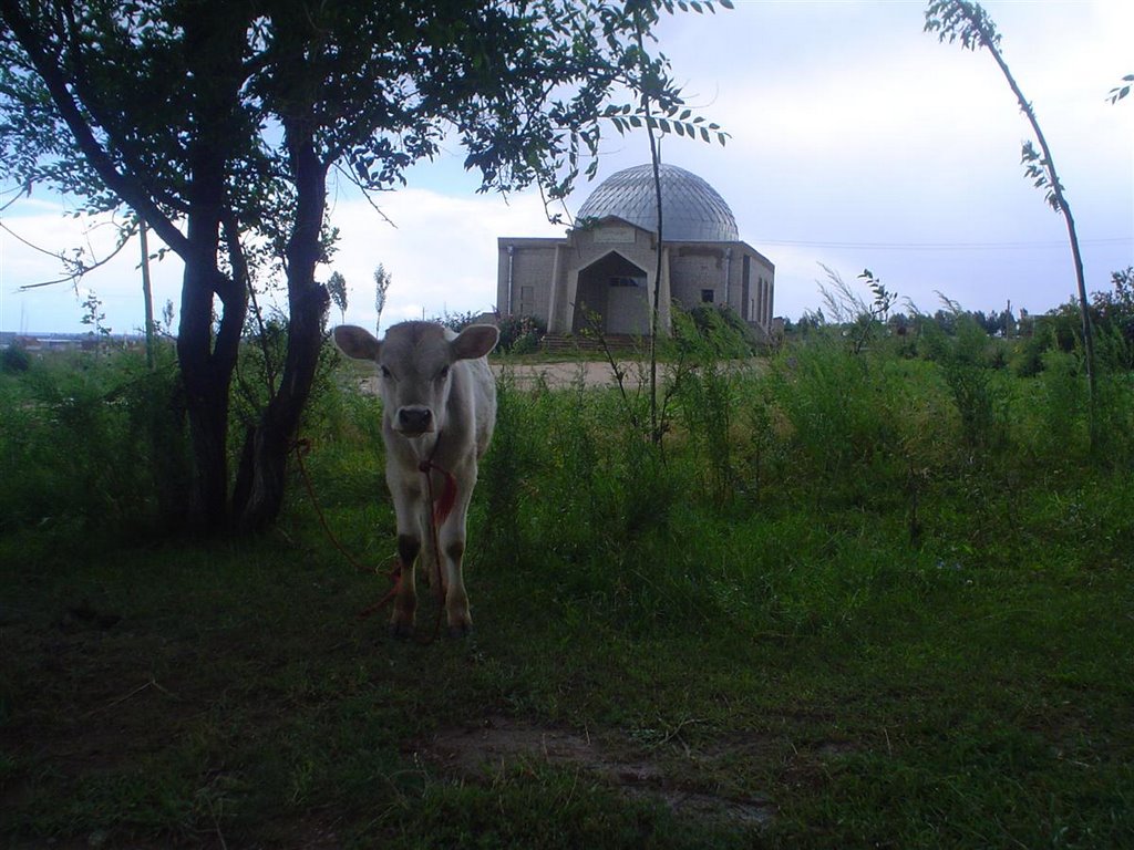 Mosque near Issyk Kul