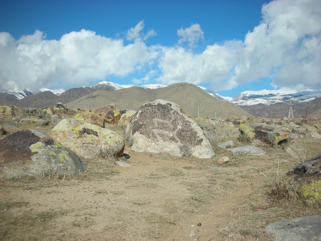 Kyrgystan - Cholpon Ata - Petroglyphics - Nov 11