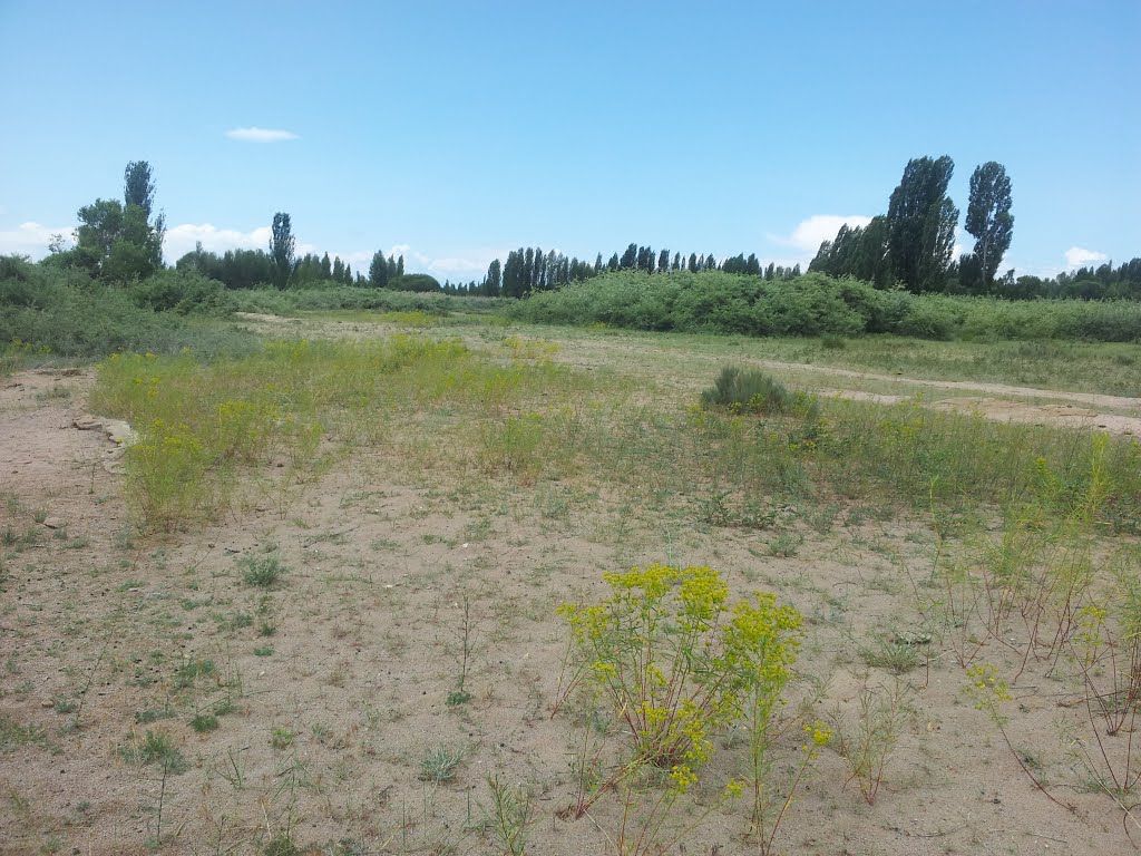 Без воды бесплодный песок