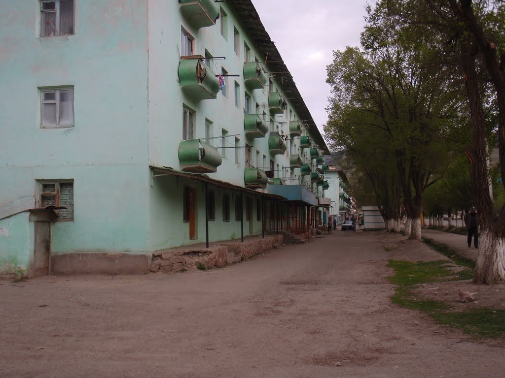 Naryn Main Street