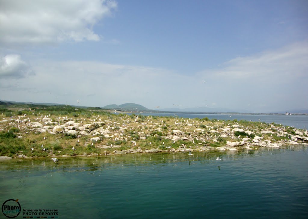 Armenia. Sevan Lake, Seagulls Island