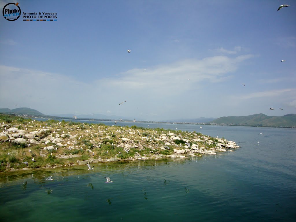 Armenia. Sevan Lake, Seagulls Island