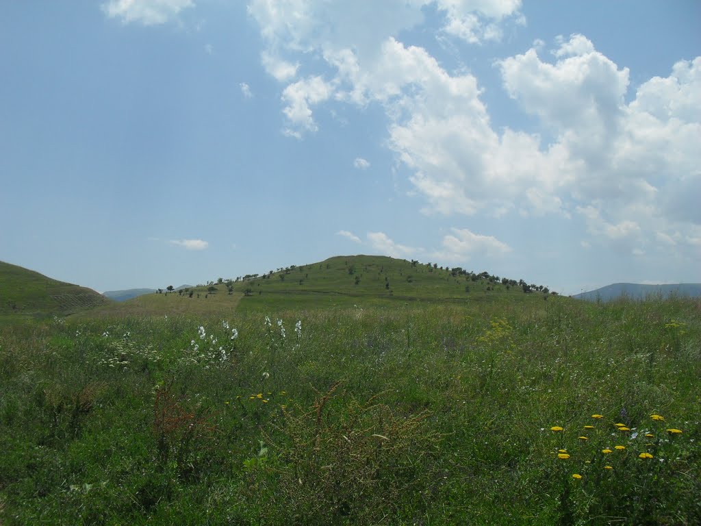 Kara-Kulja