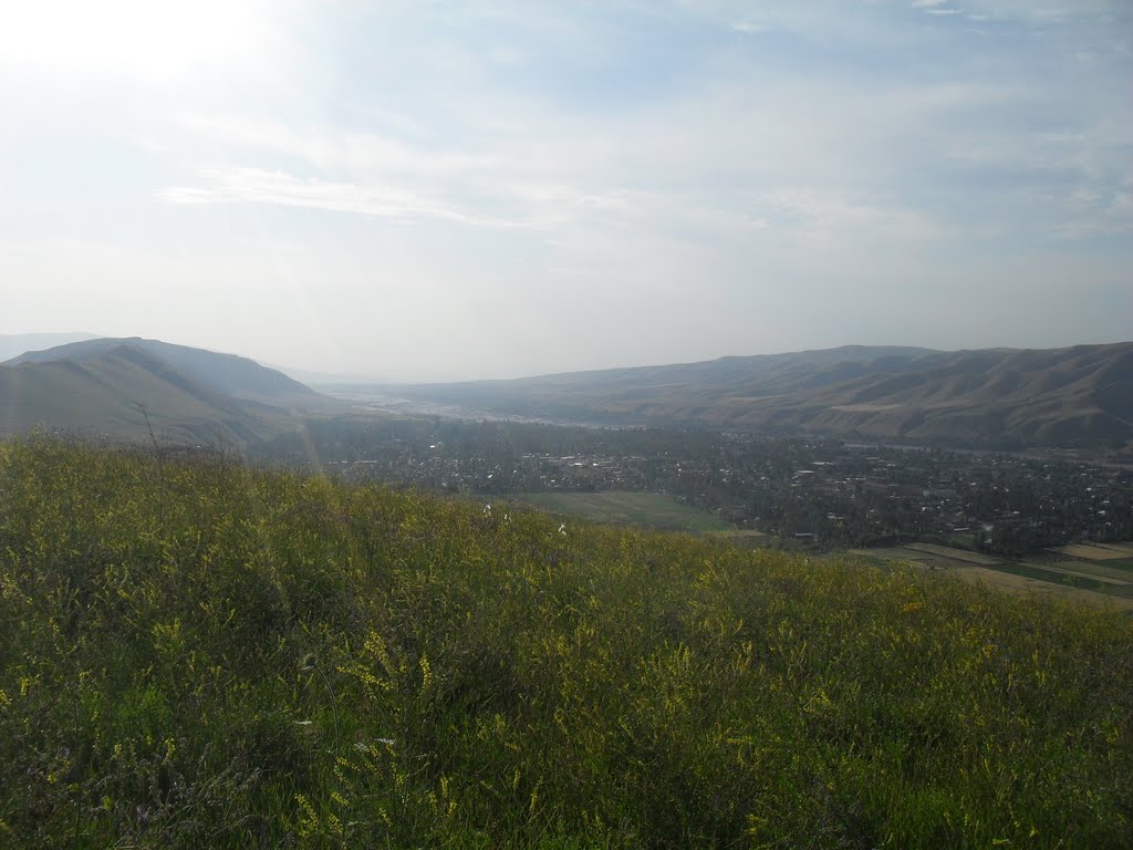 Kara-Kuldja